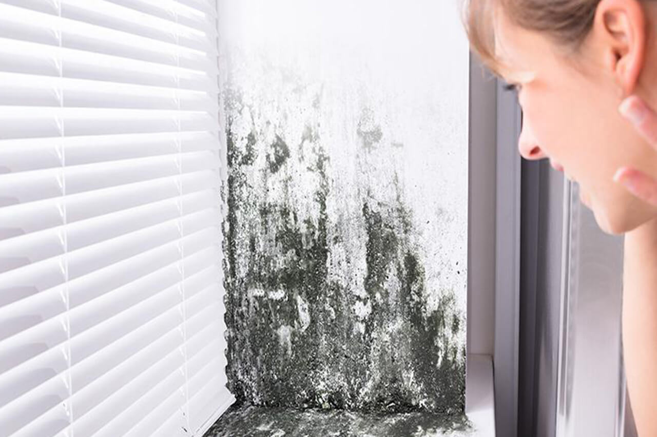6 Mold Prevention Tips for a Healthy Home